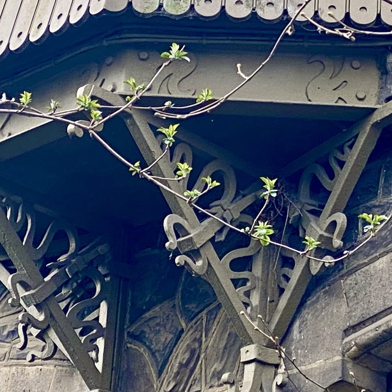 Villa De Waterlelies Admirable Art Nouveau